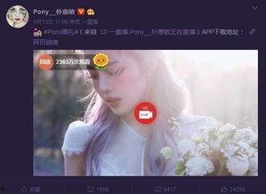 美妆博主爆料婚礼视频,一场视觉与美妆的盛宴 第2张 美妆博主爆料婚礼视频,一场视觉与美妆的盛宴 第2张